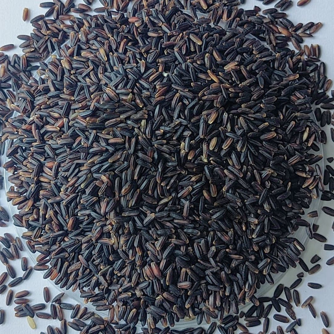 BLACK KAVUNI RICE